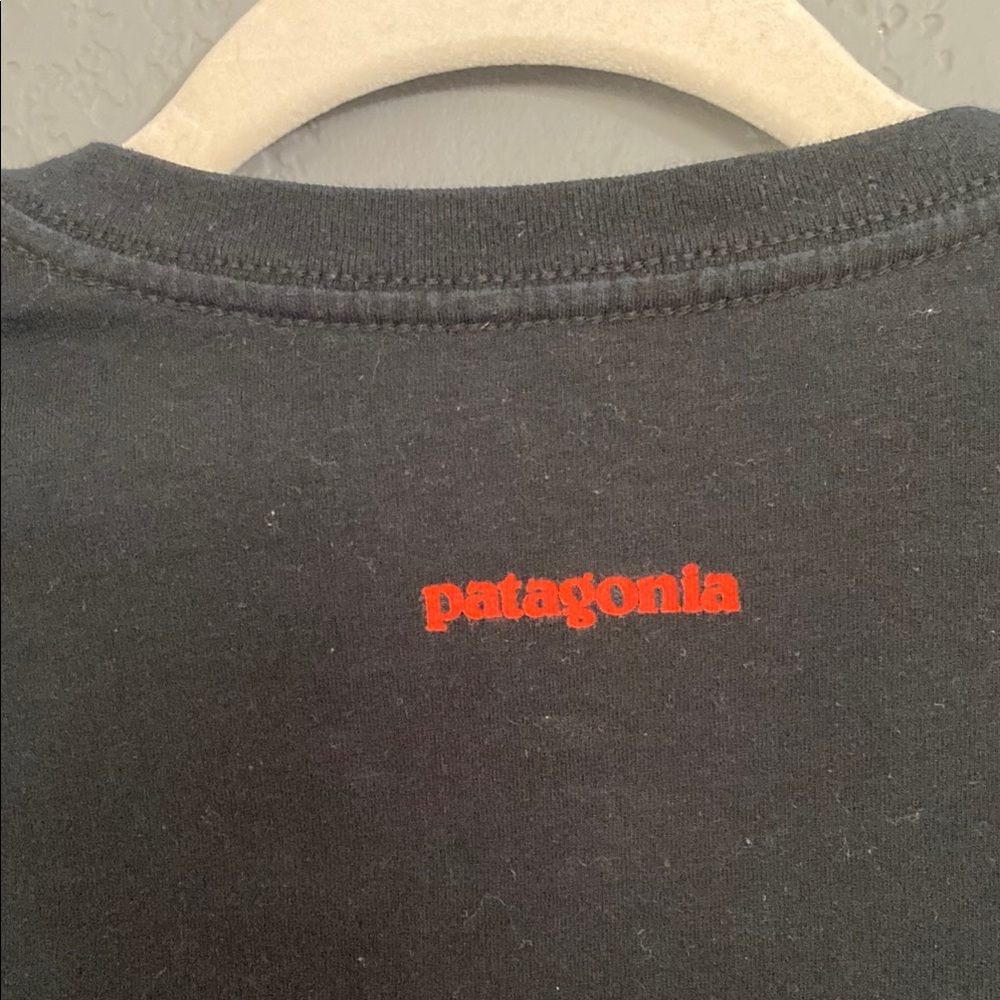 Patagonia Freedom to Roam Black Long Sleeve Buffalo Graphic Tee T-shirt - Picture 5 of 6